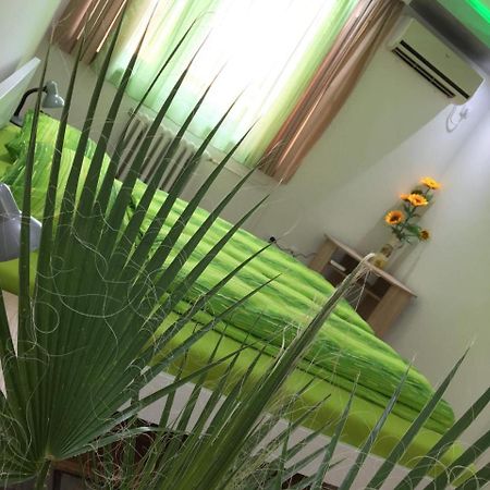 Green Dreams Нови-Сад Экстерьер фото